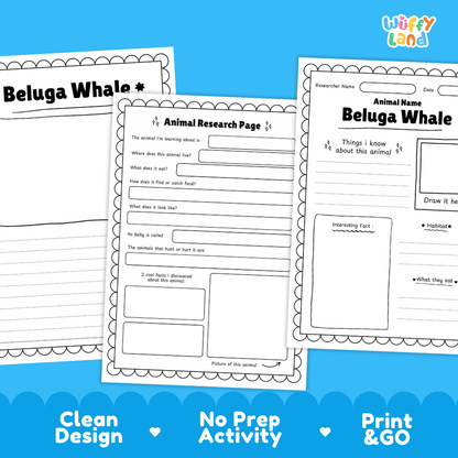 Beluga Whale Animal Research Page Worksheets and Fact Sheet