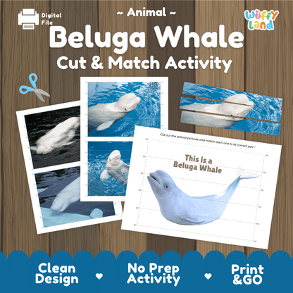 Beluga Whale Cut and Match Activity Printables Worksheets