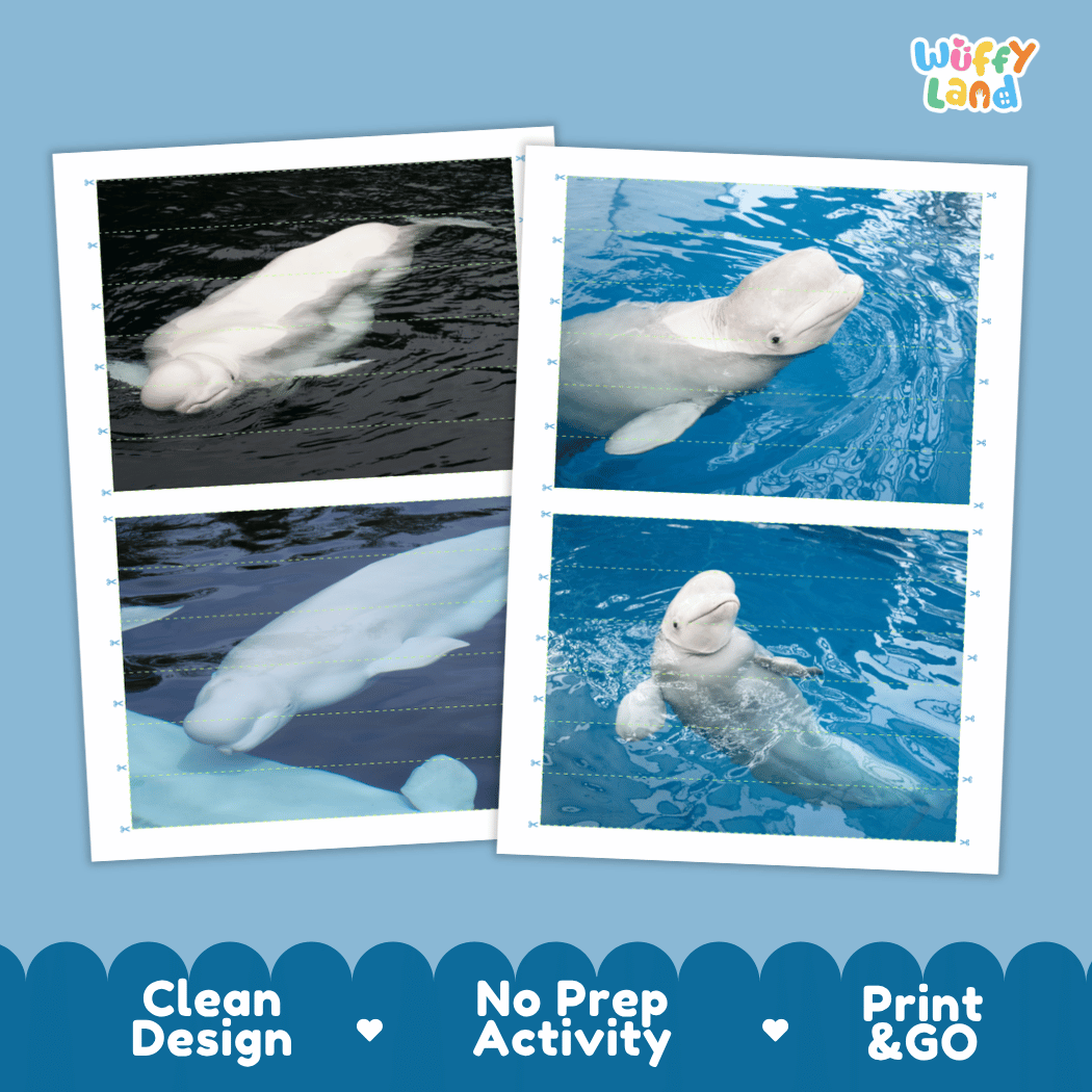 Beluga Whale Cut and Match Activity Printables Worksheets