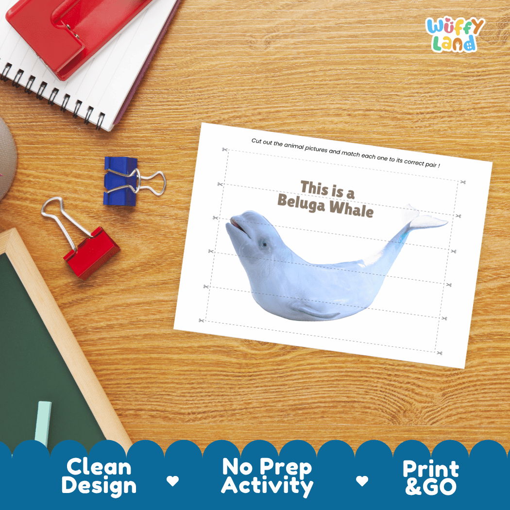 Beluga Whale Cut and Match Activity Printables Worksheets