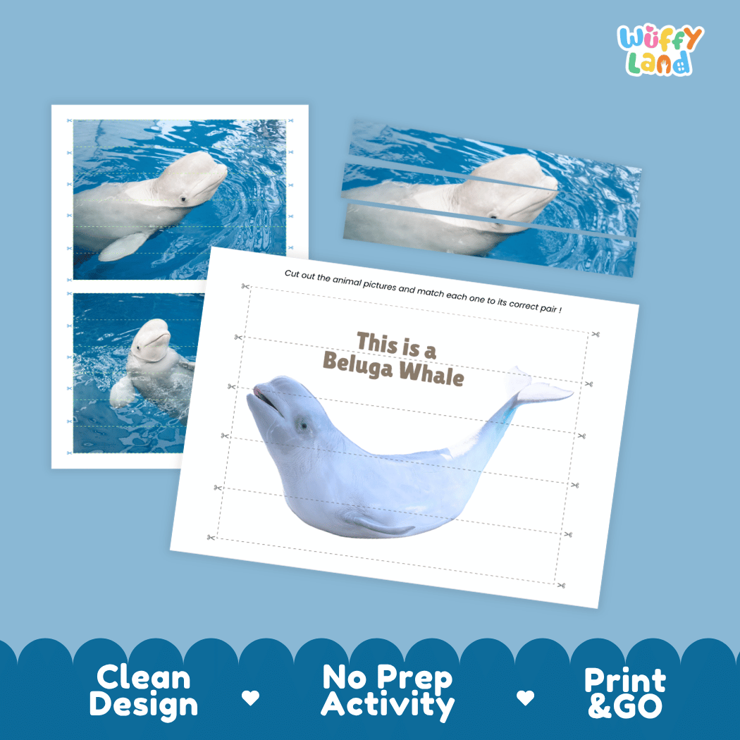 Beluga Whale Cut and Match Activity Printables Worksheets