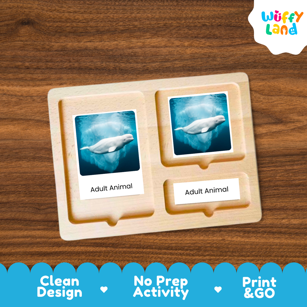 A wooden activity board with two labeled slots reading 'Adult Animal,' each holding a photo card of a beluga whale, shown on a wood-grain background. A 'Wuffy Land' logo appears in the top right, and a blue promotional banner at the bottom highlights clean design, no prep activity, and print & go.
