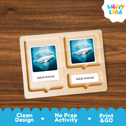 A wooden activity board with two labeled slots reading 'Adult Animal,' each holding a photo card of a beluga whale, shown on a wood-grain background. A 'Wuffy Land' logo appears in the top right, and a blue promotional banner at the bottom highlights clean design, no prep activity, and print & go.