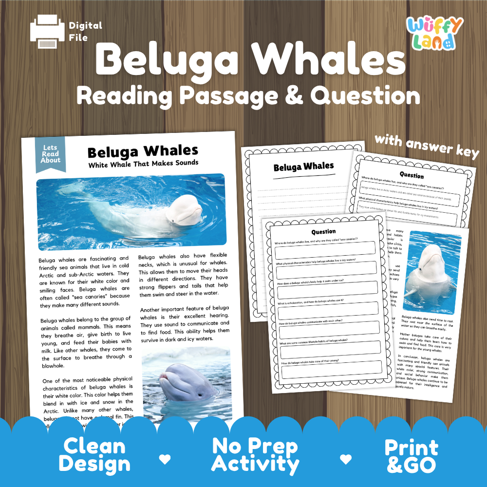 Beluga Whales Reading Passage and Questions Worksheets with Answer Key