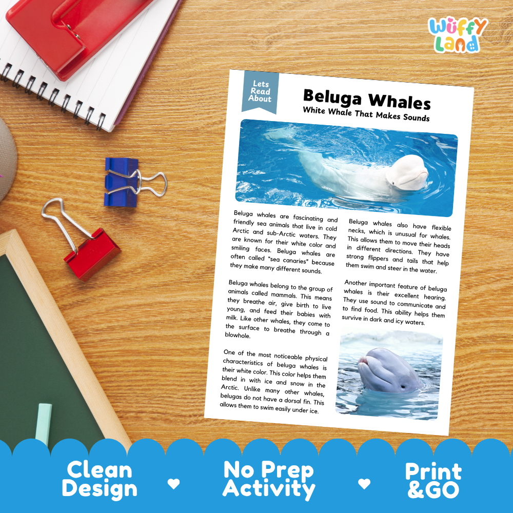Beluga Whales Reading Passage and Questions Worksheets with Answer Key