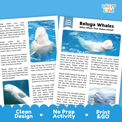 Beluga Whales Reading Passage and Questions Worksheets with Answer Key