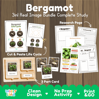 Complete Bergamot 3-in-1 real image study bundle featuring cut and paste worksheets, Montessori 3-part cards, and research pages 🍊🌱