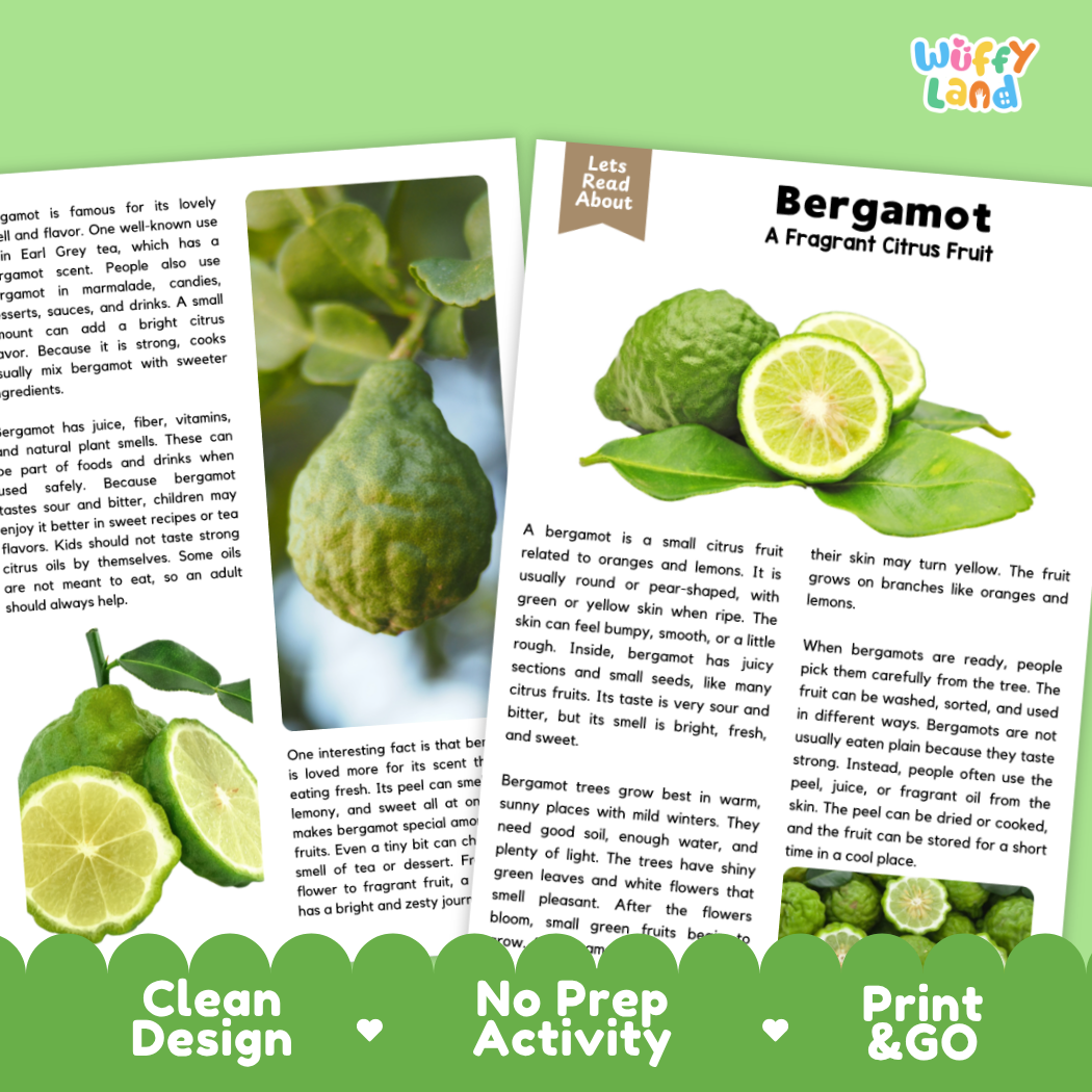 Teacher answer key page showing complete question solutions for bergamot reading comprehension practice