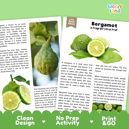 Teacher answer key page showing complete question solutions for bergamot reading comprehension practice