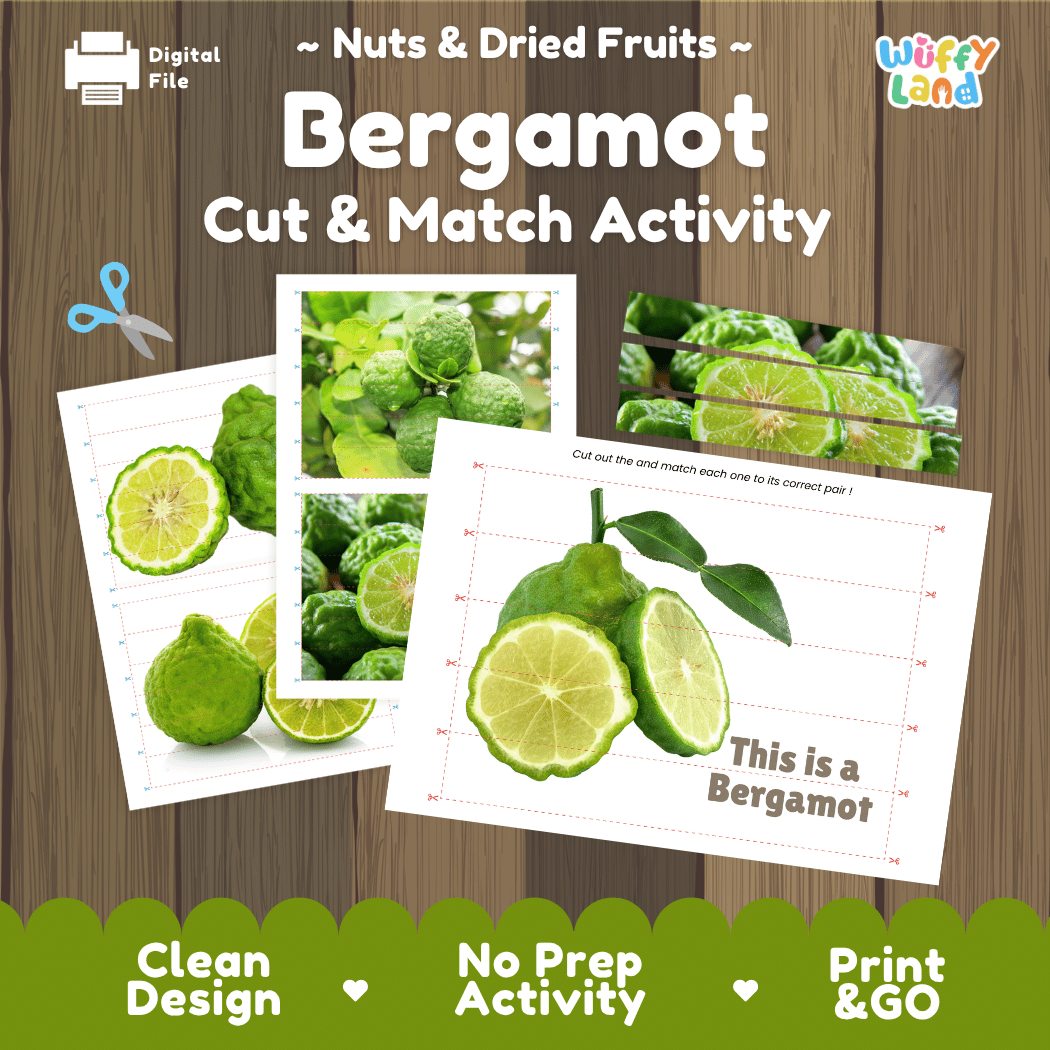 Bergamot Cut and Match Activity Worksheets | Nuts and Dried Fruits Puzzle Printables