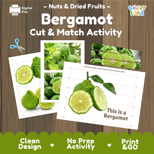 Bergamot Cut and Match Activity Worksheets | Nuts and Dried Fruits Puzzle Printables