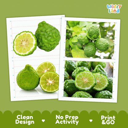 Bergamot Cut and Match Activity Worksheets | Nuts and Dried Fruits Puzzle Printables