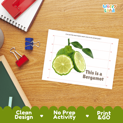 Bergamot Cut and Match Activity Worksheets | Nuts and Dried Fruits Puzzle Printables