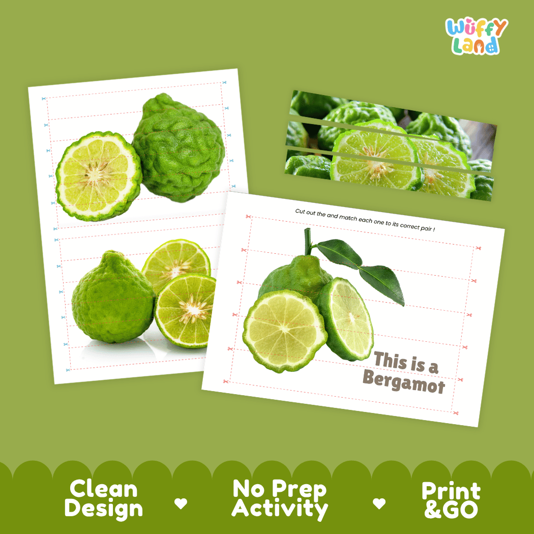 Bergamot Cut and Match Activity Worksheets | Nuts and Dried Fruits Puzzle Printables