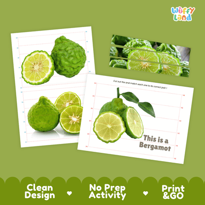 Bergamot Cut and Match Activity Worksheets | Nuts and Dried Fruits Puzzle Printables