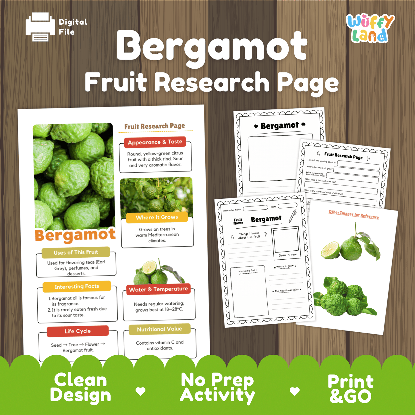 Bergamot Fruit Research Project | Citrus Fruit Science | Senses & Smell Activity