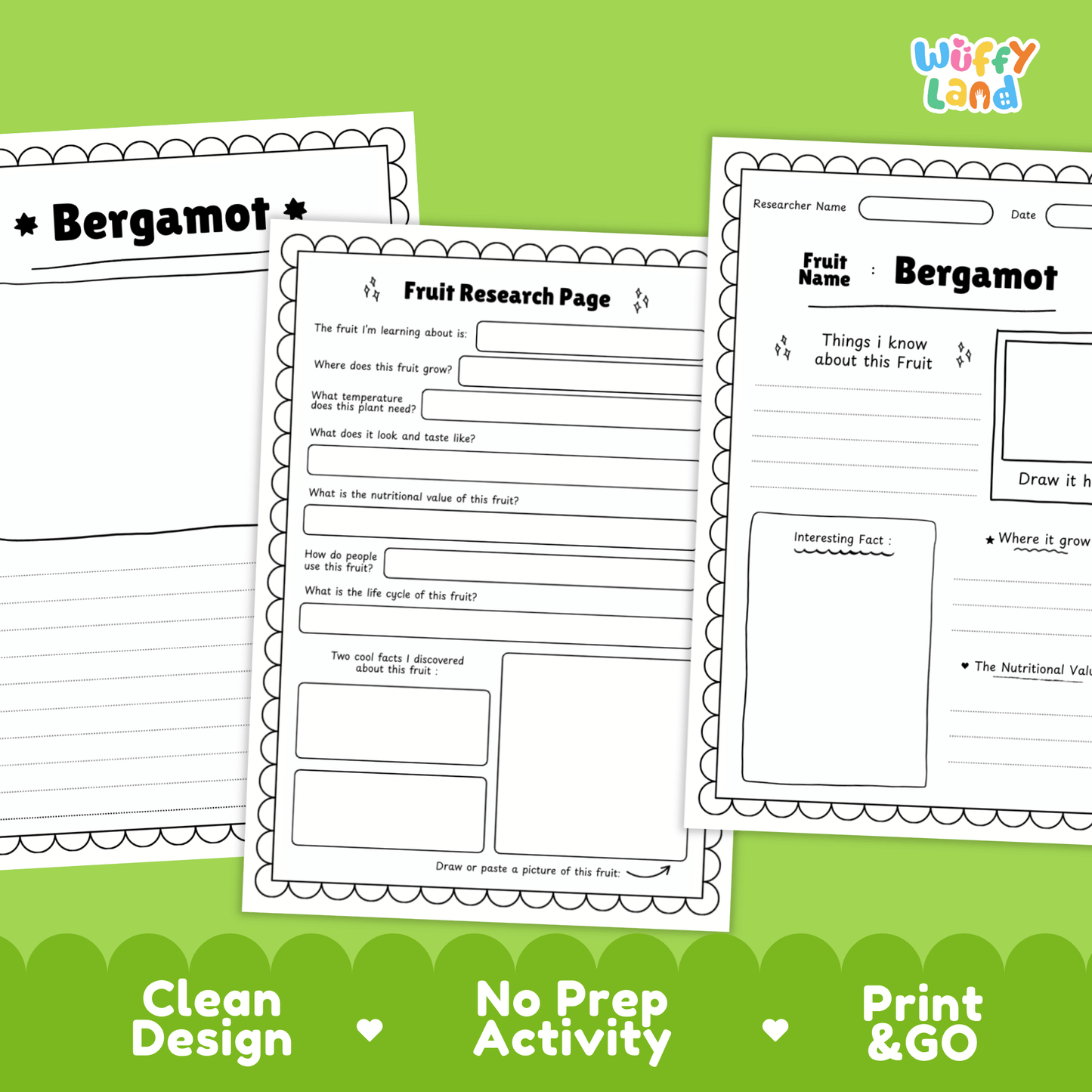 Bergamot Fruit Research Project | Citrus Fruit Science | Senses & Smell Activity