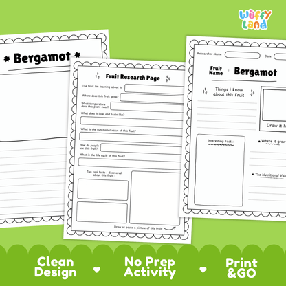 Bergamot Fruit Research Project | Citrus Fruit Science | Senses & Smell Activity