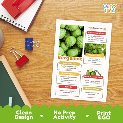 Bergamot Fruit Research Project | Citrus Fruit Science | Senses & Smell Activity