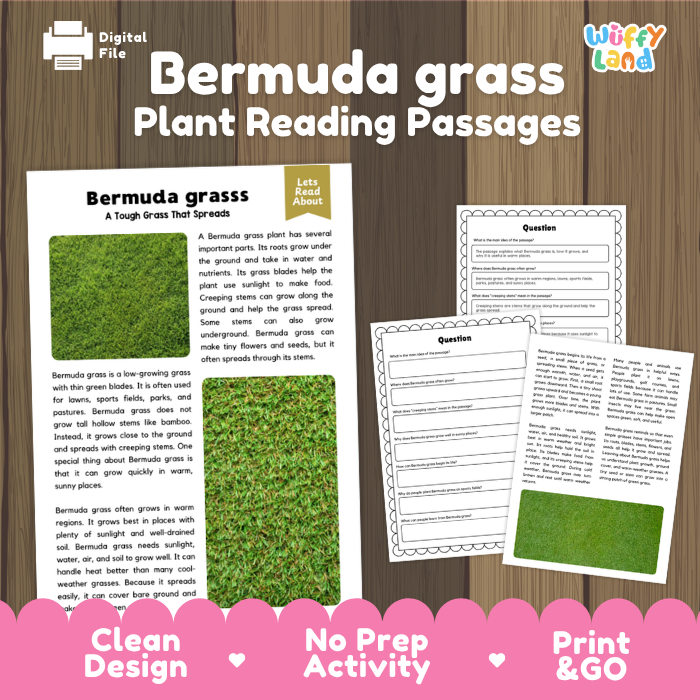 Bermuda Grass Plant Reading Passages and Comprehension Questions Worksheets
