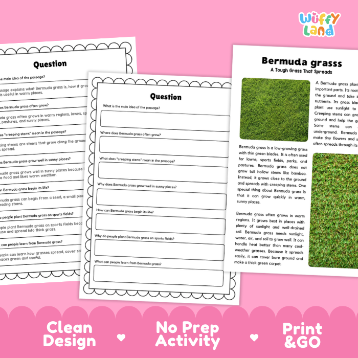 Bermuda Grass Plant Reading Passages and Comprehension Questions Worksheets