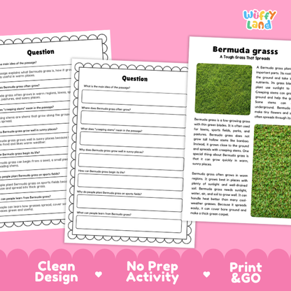 Bermuda Grass Plant Reading Passages and Comprehension Questions Worksheets