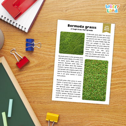 Bermuda Grass Plant Reading Passages and Comprehension Questions Worksheets