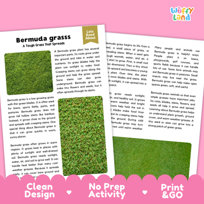 Bermuda Grass Plant Reading Passages and Comprehension Questions Worksheets