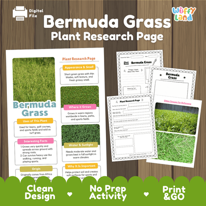 Bermuda Grass Plant Research Page Worksheets and Fact Sheet