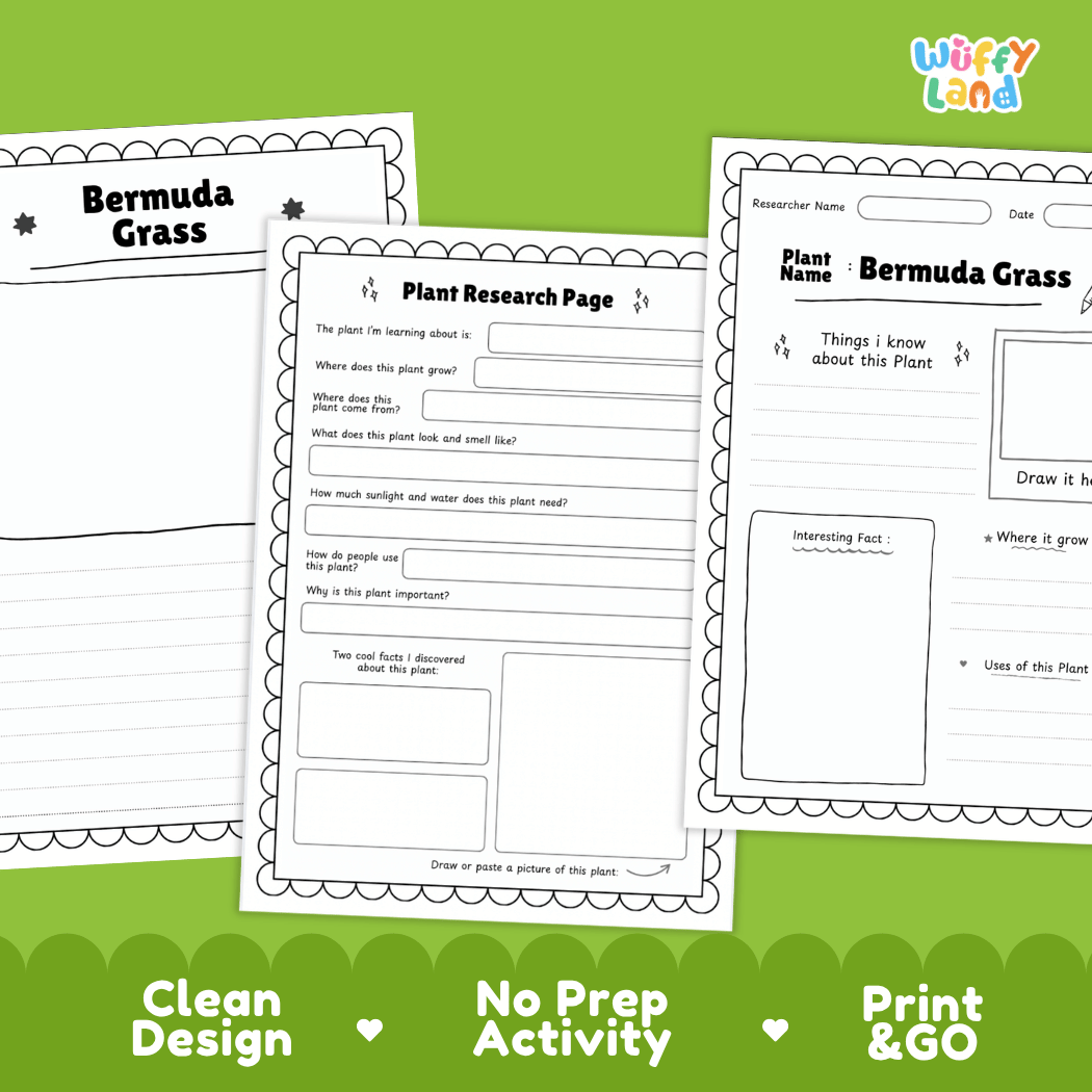Bermuda Grass Plant Research Page Worksheets and Fact Sheet