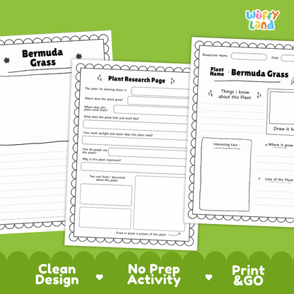 Bermuda Grass Plant Research Page Worksheets and Fact Sheet