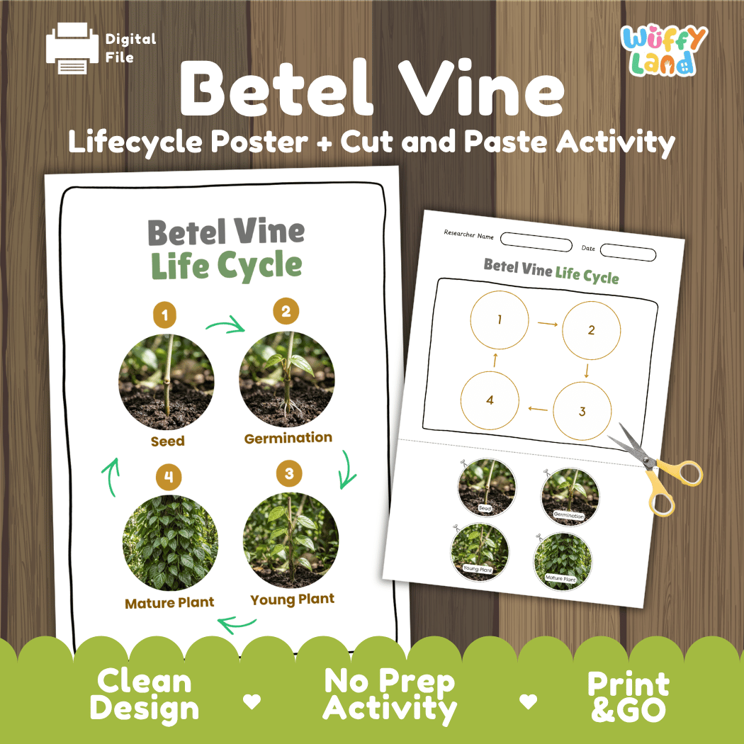 Betel Vine Life Cycle Poster and Cut and Paste Worksheet Activity