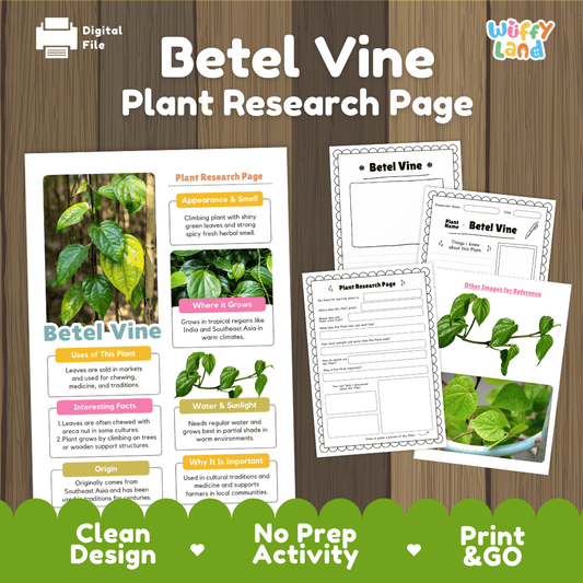 Betel Vine Plant Research Page Worksheets and Fact Sheet