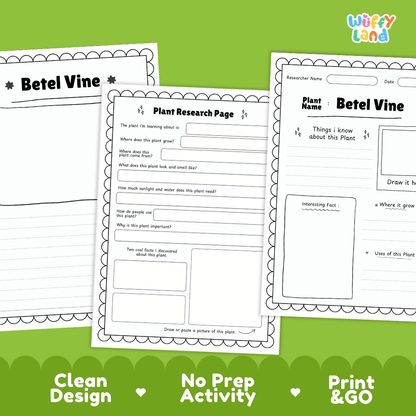Betel Vine Plant Research Page Worksheets and Fact Sheet