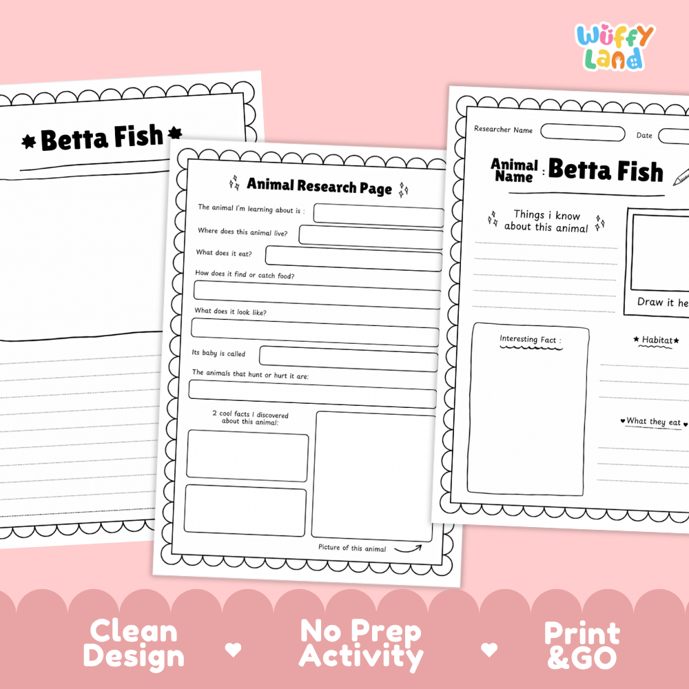 Three printable worksheet pages for an animal research activity titled 'Betta Fish' are shown on a pink background with decorative scalloped borders and text reading 'Clean Design', 'No Prep Activity', and 'Print & GO'. The Wiffy Land logo appears in the top right.