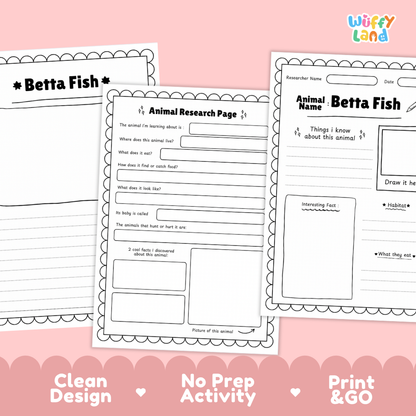 Three printable worksheet pages for an animal research activity titled 'Betta Fish' are shown on a pink background with decorative scalloped borders and text reading 'Clean Design', 'No Prep Activity', and 'Print & GO'. The Wiffy Land logo appears in the top right.