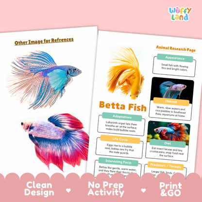 An educational print set about betta fish from the brand Wiffly Land, featuring a reference image page and an animal research page with colorful illustrations of different betta fish species. The pages are displayed on a pink background with a scalloped pink banner at the bottom highlighting key features like 'Clean Design', 'No Prep Activity', and 'Print & GO'.