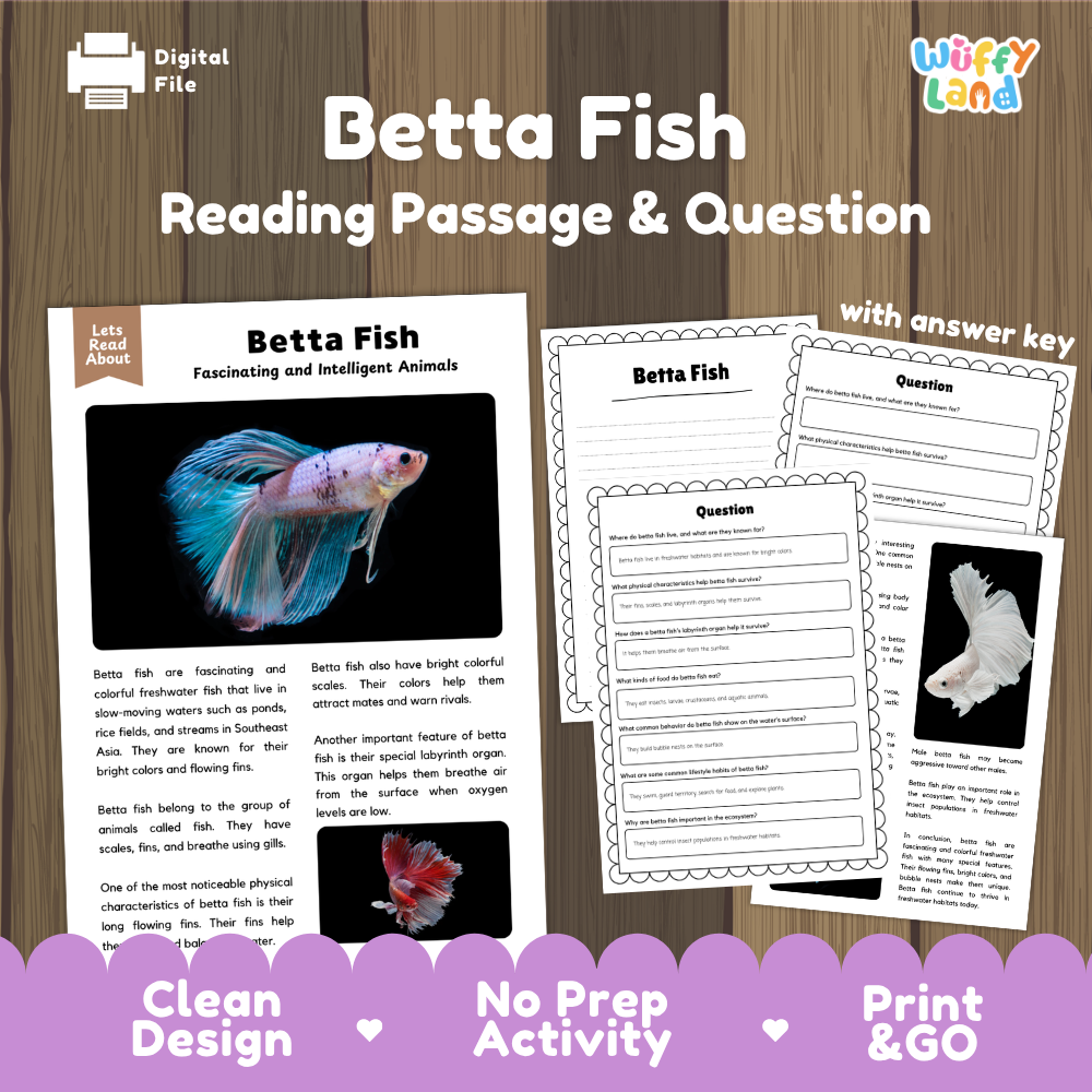 Betta Fish Reading Passage and Comprehension Questions with Answer Key