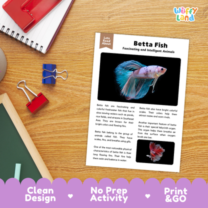 Betta Fish Reading Passage and Comprehension Questions with Answer Key