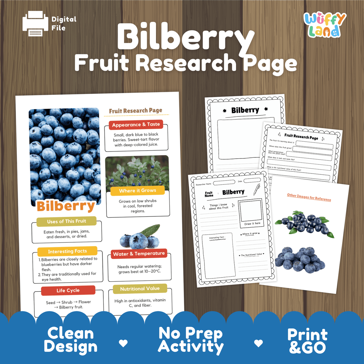 Student fruit research printable fact sheet detailing bilberry appearance, wild forest habitat, cool climate, and nutrition with real images 📝🔍