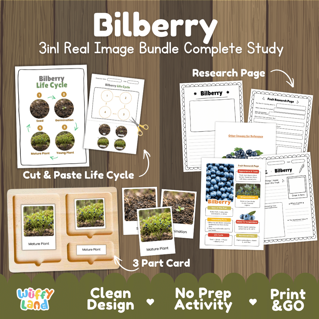 Complete Bilberry 3-in-1 real image study bundle featuring cut and paste worksheets, Montessori 3-part cards, and research pages 🫐🌱