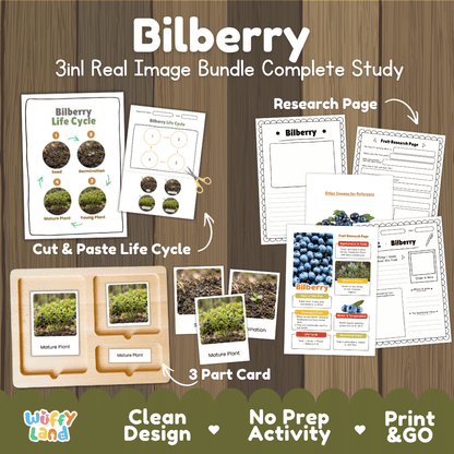 Complete Bilberry 3-in-1 real image study bundle featuring cut and paste worksheets, Montessori 3-part cards, and research pages 🫐🌱