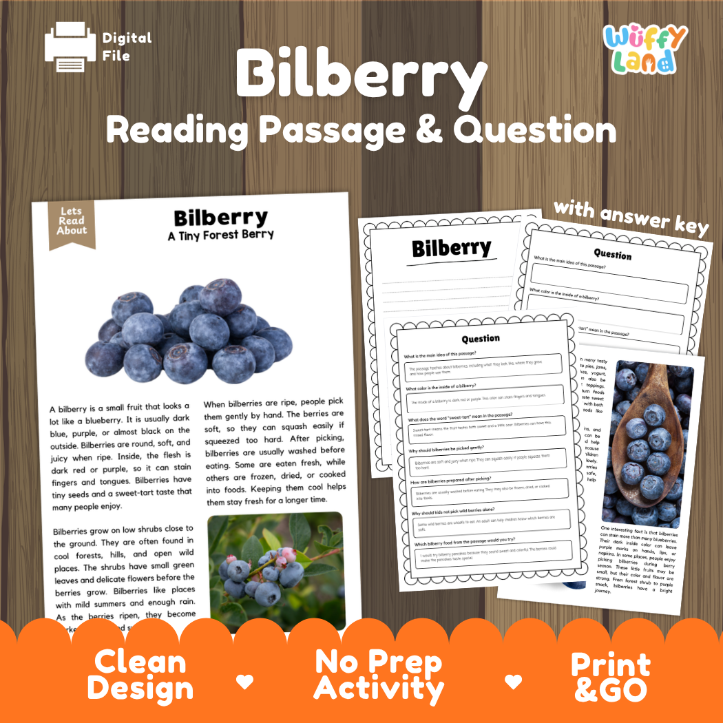 Bilberry reading comprehension passage and questions printable activity pack with answer key for elementary students
