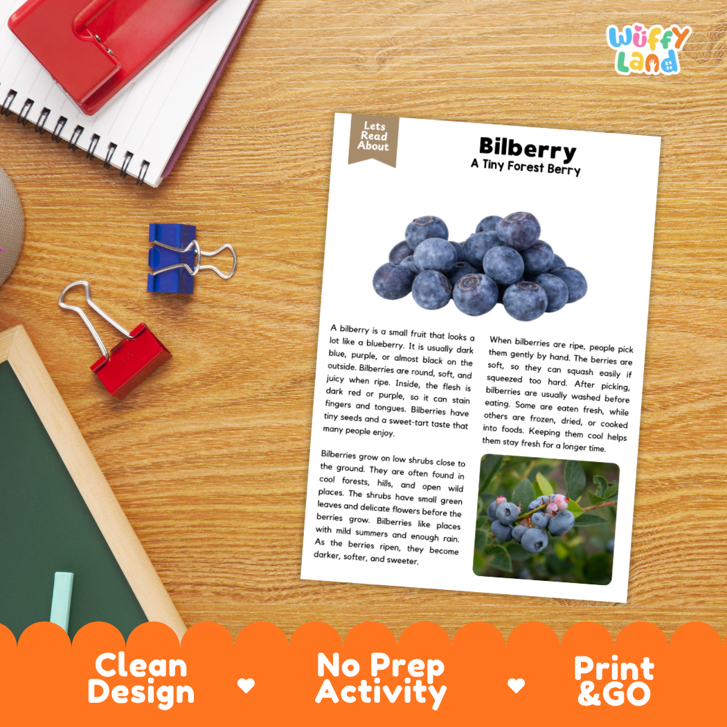 Student reading comprehension worksheet with short-answer questions and lined sections about bilberries