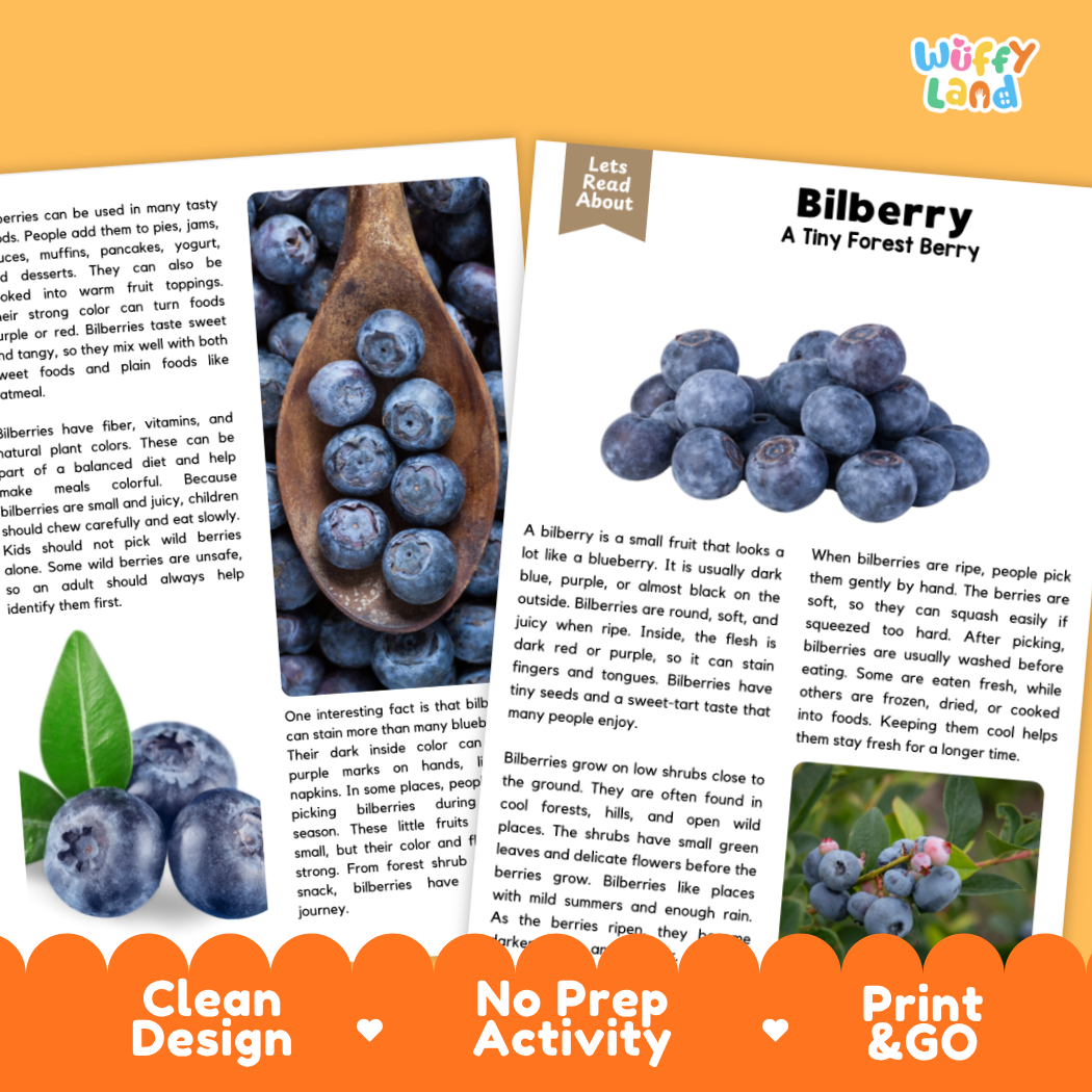 Teacher answer key page showing complete question solutions for bilberry reading comprehension practice