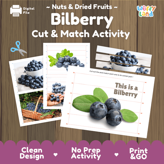 Bilberry Cut and Match Activity Worksheets | Nuts and Dried Fruits Puzzle Printables