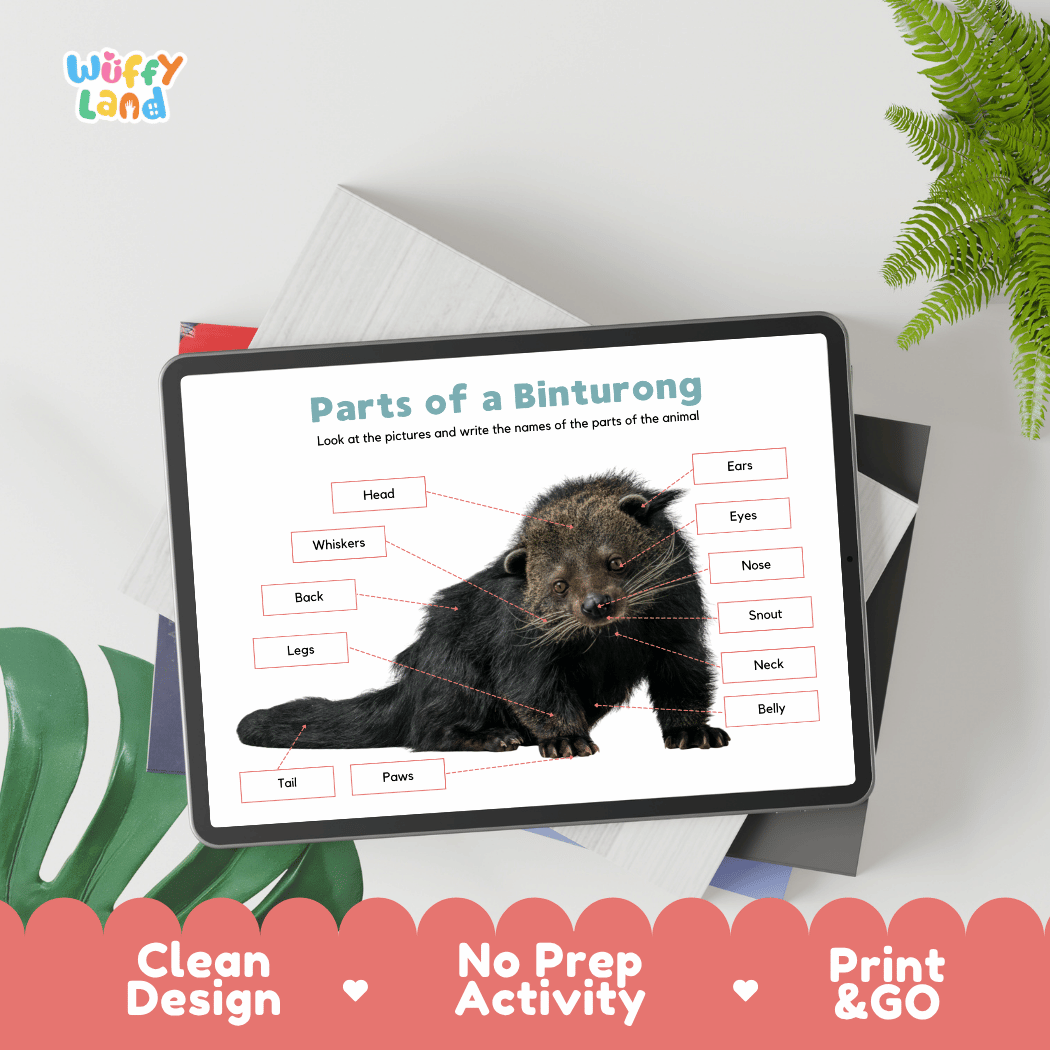 Hands-on binturong anatomy cut and paste worksheet with printable word tags, callout pointer lines, and scissors graphic