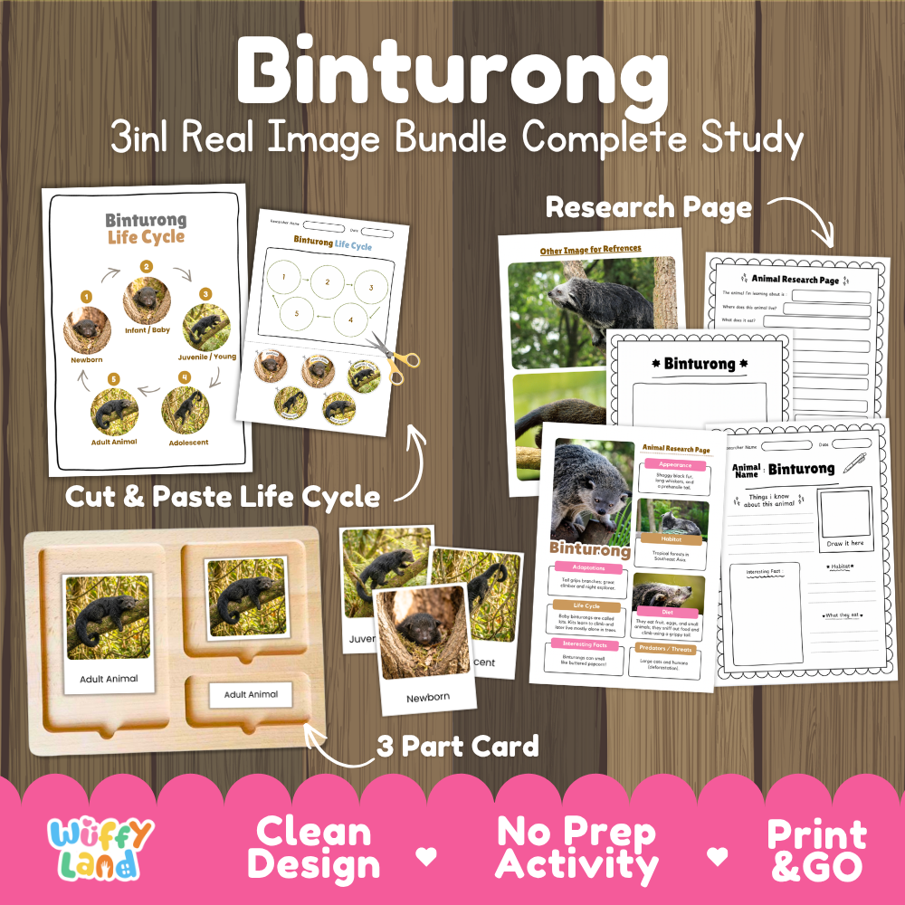 Binturong 3-in-1 real image bundle complete study cover showing cut and paste life cycle, 3 part cards, and research pages