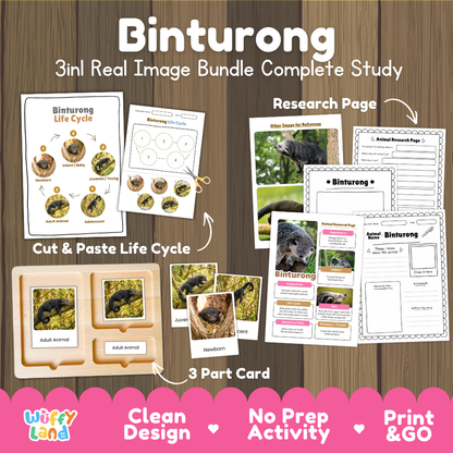 Binturong 3-in-1 real image bundle complete study cover showing cut and paste life cycle, 3 part cards, and research pages