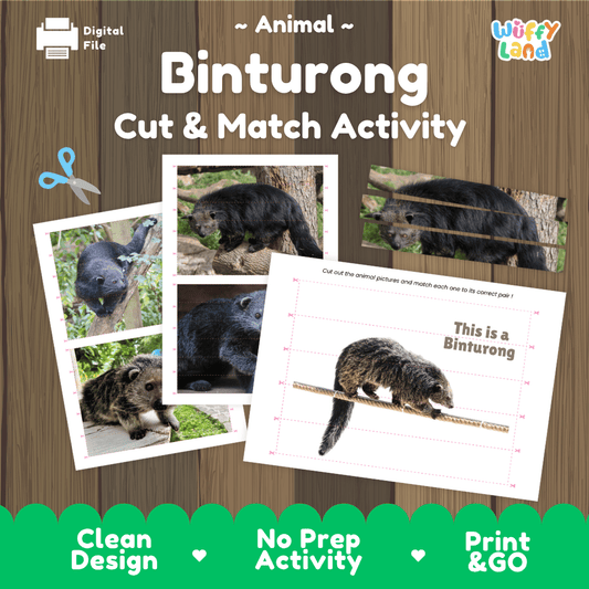 Binturong Cut and Match Activity Worksheets | Animal Puzzle Printables